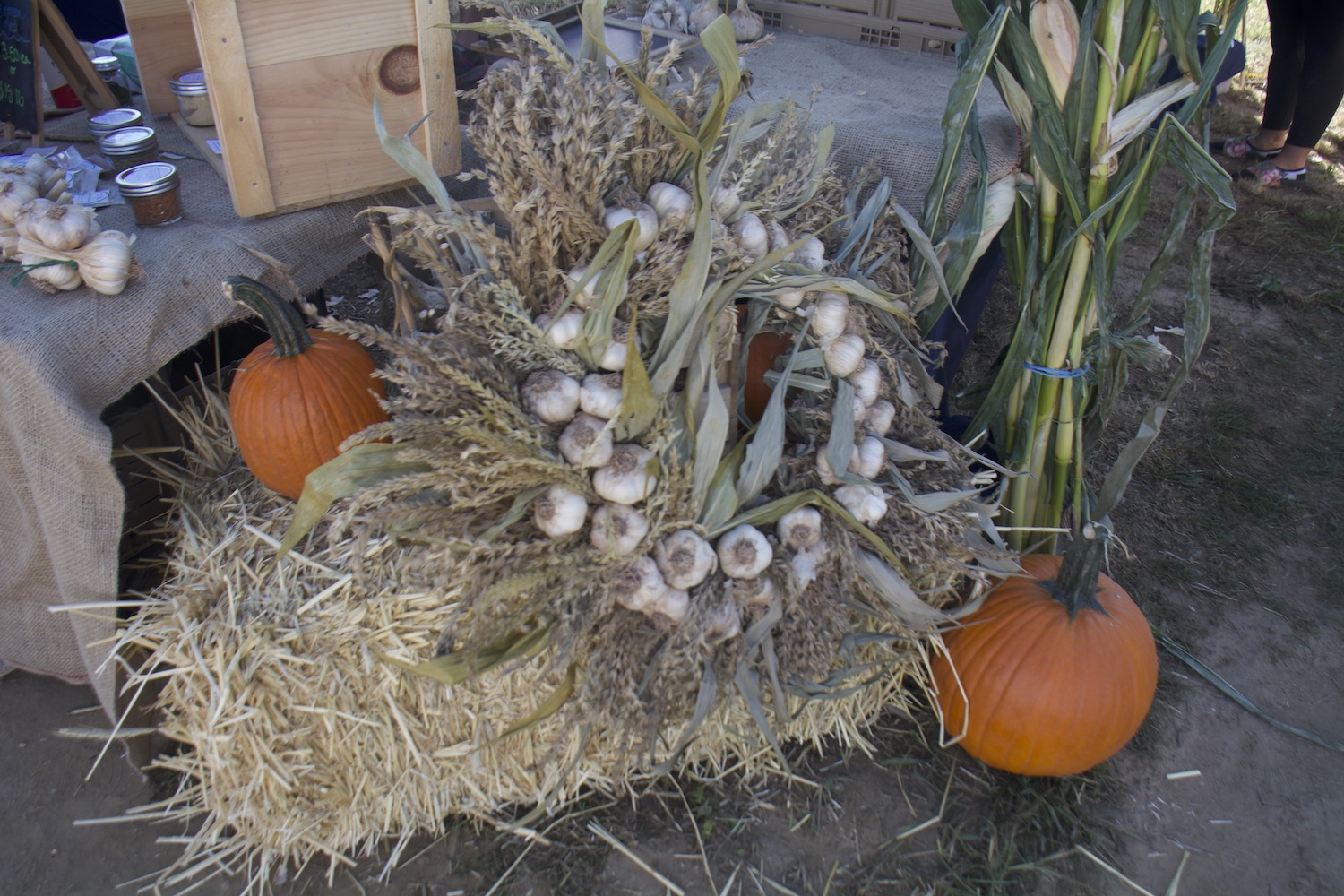 Garlic wreath at the Garlic Festival