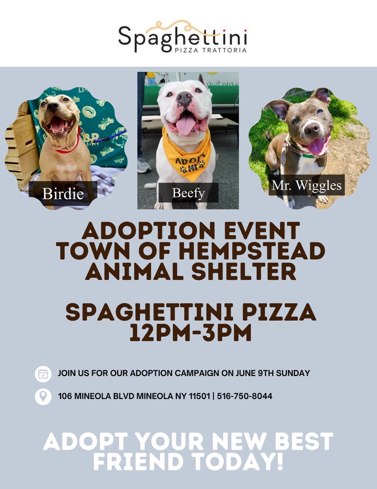 Adoption Event For Town of Hempstead Animal Shelter